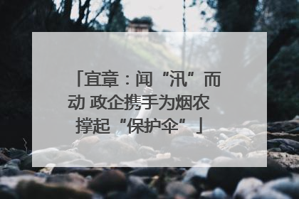 宜章：闻“汛”而动 政企携手为烟农撑起“保护伞”