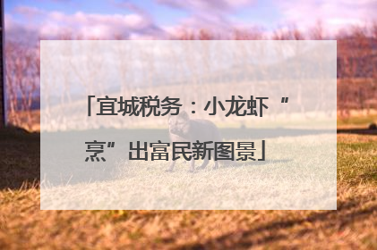 宜城税务：小龙虾“烹”出富民新图景