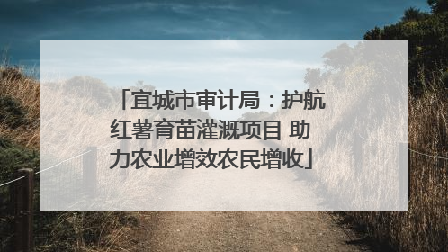 宜城市审计局：护航红薯育苗灌溉项目 助力农业增效农民增收