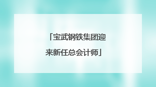 宝武钢铁集团迎来新任总会计师