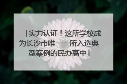 实力认证！这所学校成为长沙市唯一一所入选典型案例的民办高中