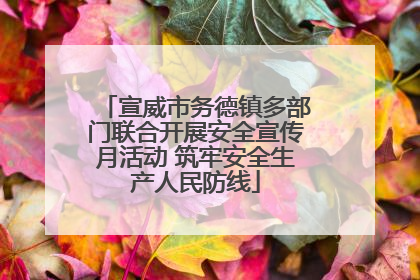 宣威市务德镇多部门联合开展安全宣传月活动 筑牢安全生产人民防线