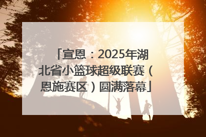 宣恩：2025年湖北省小篮球超级联赛（恩施赛区）圆满落幕