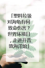 塑料垃圾对海龟有何致命伤害？世界环境日，走进开普敦海洋馆