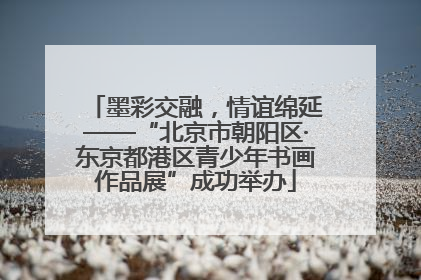墨彩交融，情谊绵延——“北京市朝阳区·东京都港区青少年书画作品展”成功举办