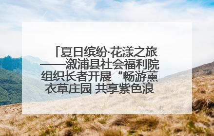 夏日缤纷·花漾之旅——溆浦县社会福利院组织长者开展“畅游薰衣草庄园 共享紫色浪漫”户外活动