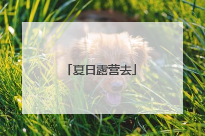 夏日露营去
