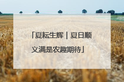 夏耘生辉｜夏日顺义满是农趣期待