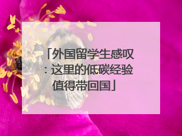 外国留学生感叹：这里的低碳经验值得带回国
