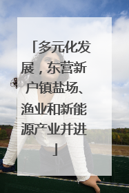 多元化发展，东营新户镇盐场、渔业和新能源产业并进