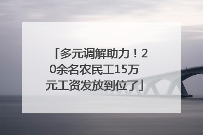 多元调解助力！20余名农民工15万元工资发放到位了