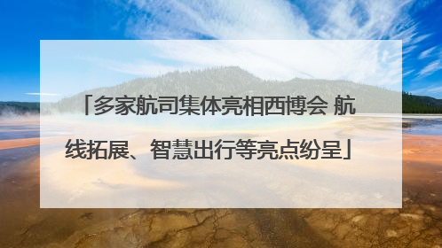 多家航司集体亮相西博会 航线拓展、智慧出行等亮点纷呈