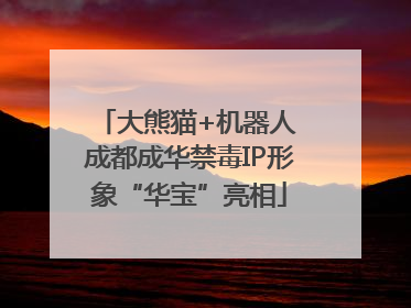 大熊猫+机器人 成都成华禁毒IP形象“华宝”亮相
