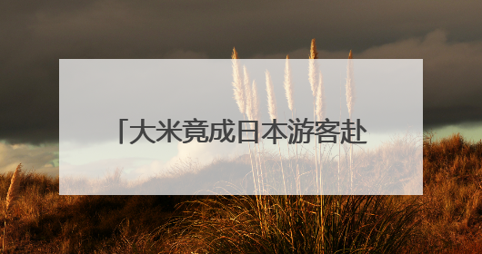 大米竟成日本游客赴韩旅游“纪念品”