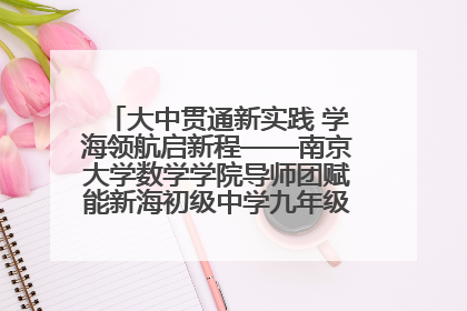 大中贯通新实践 学海领航启新程——南京大学数学学院导师团赋能新海初级中学九年级学子生涯规划