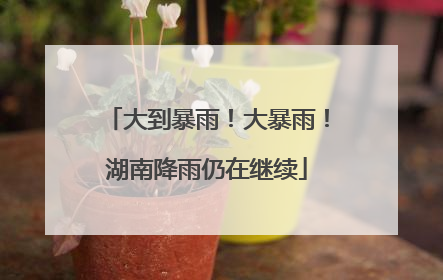大到暴雨！大暴雨！湖南降雨仍在继续