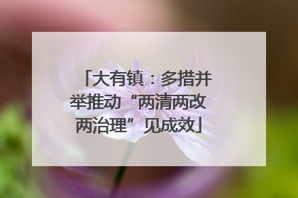 大有镇：多措并举推动“两清两改两治理”见成效