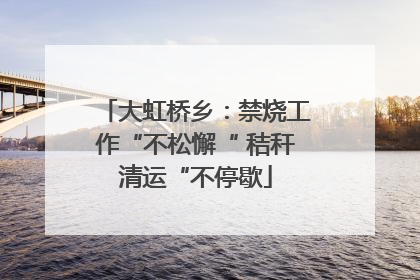 大虹桥乡：禁烧工作“不松懈“ 秸秆清运“不停歇