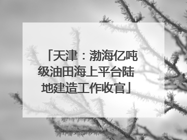天津：渤海亿吨级油田海上平台陆地建造工作收官