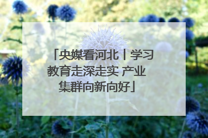 央媒看河北丨学习教育走深走实 产业集群向新向好
