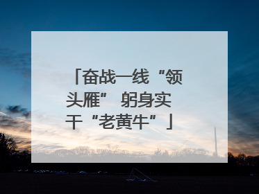 奋战一线“领头雁” 躬身实干“老黄牛”