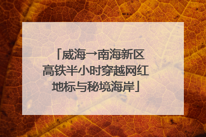 威海→南海新区 高铁半小时穿越网红地标与秘境海岸