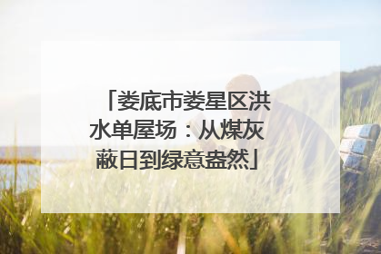 娄底市娄星区洪水单屋场：从煤灰蔽日到绿意盎然