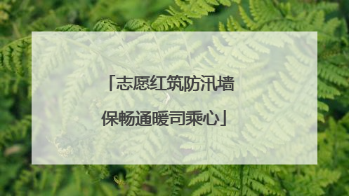 志愿红筑防汛墙 保畅通暖司乘心