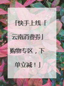 快手上线「云南消费券」购物专区，下单立减！