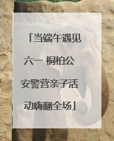 当端午遇见六一 桐柏公安警营亲子活动嗨翻全场