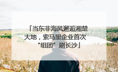 当东非海风邂逅湘楚大地，索马里企业首次“组团”刷长沙