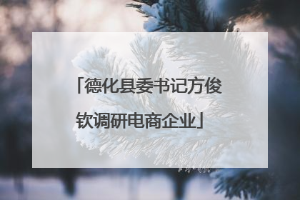 德化县委书记方俊钦调研电商企业
