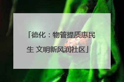 德化：物管提质惠民生 文明新风润社区