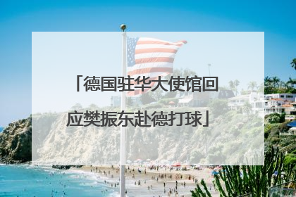 德国驻华大使馆回应樊振东赴德打球
