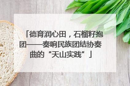 德育润心田，石榴籽抱团——奏响民族团结协奏曲的“天山实践”