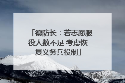 德防长：若志愿服役人数不足 考虑恢复义务兵役制