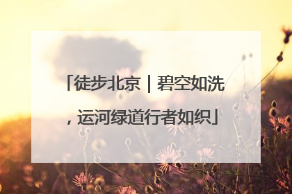 徒步北京｜碧空如洗，运河绿道行者如织