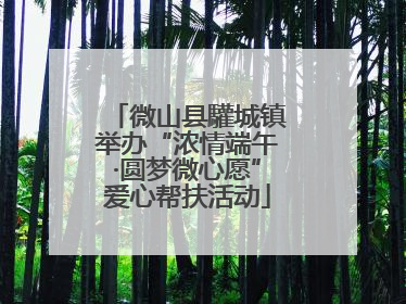 微山县驩城镇举办“浓情端午·圆梦微心愿”爱心帮扶活动