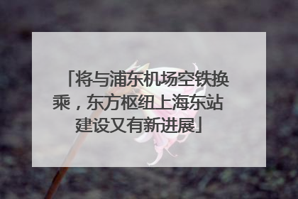 将与浦东机场空铁换乘，东方枢纽上海东站建设又有新进展