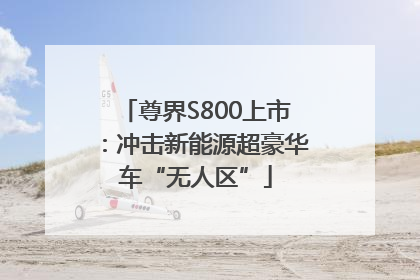 尊界S800上市：冲击新能源超豪华车“无人区”