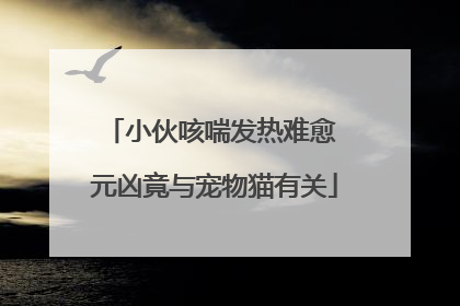 小伙咳喘发热难愈 元凶竟与宠物猫有关