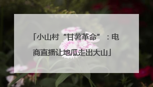 小山村“甘薯革命”：电商直播让地瓜走出大山