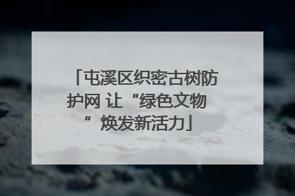 屯溪区织密古树防护网 让“绿色文物”焕发新活力