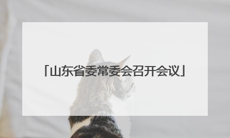 山东省委常委会召开会议