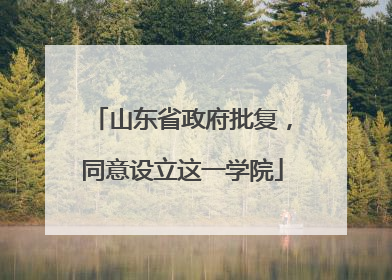 山东省政府批复，同意设立这一学院