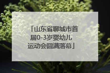 山东省聊城市首届0-3岁婴幼儿运动会圆满落幕