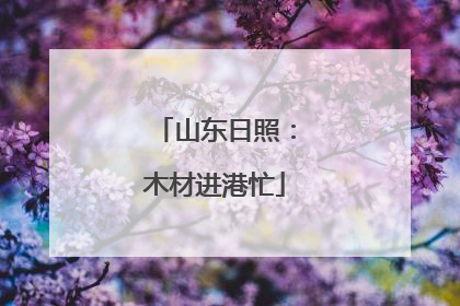 山东日照：木材进港忙