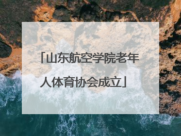 山东航空学院老年人体育协会成立