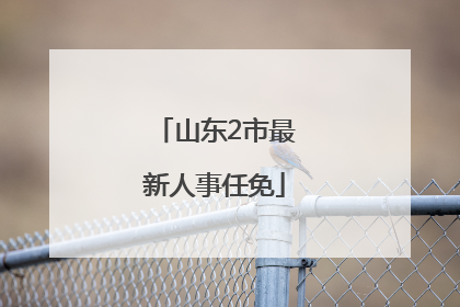 山东2市最新人事任免