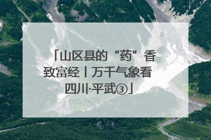 山区县的“药”香致富经丨万千气象看四川·平武③